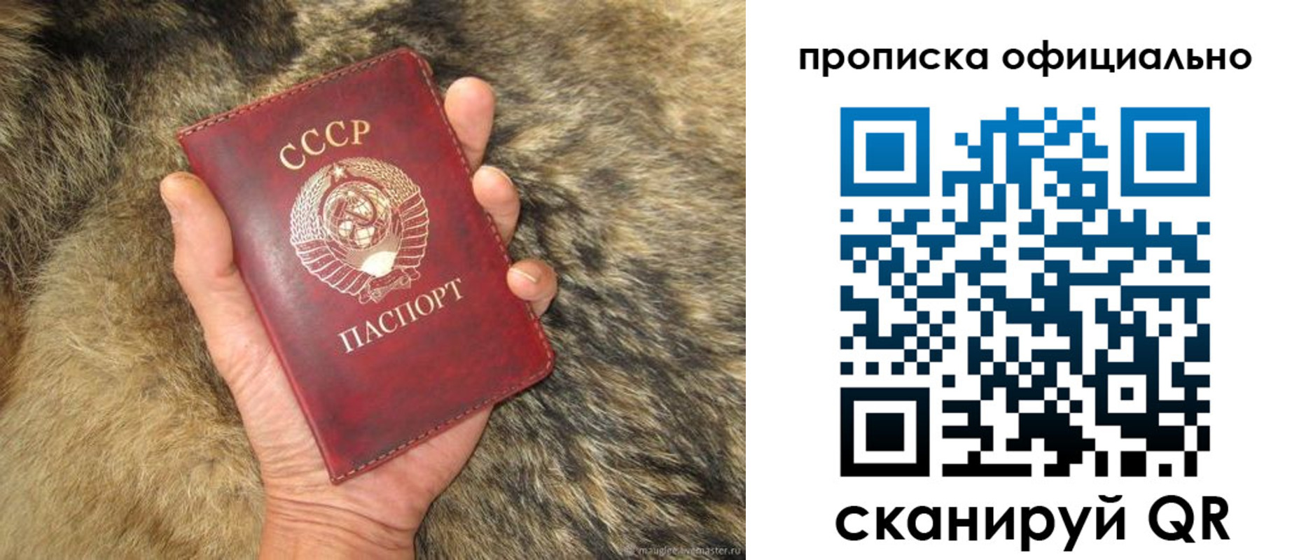 прописка паспорт в Сальске